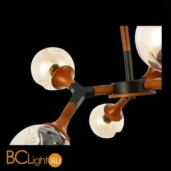 Люстра Evoluce Raquel SLE109402-06 - Фото 3