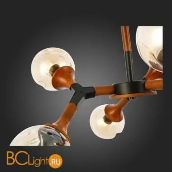 Люстра Evoluce Raquel SLE109402-06 - Фото 4