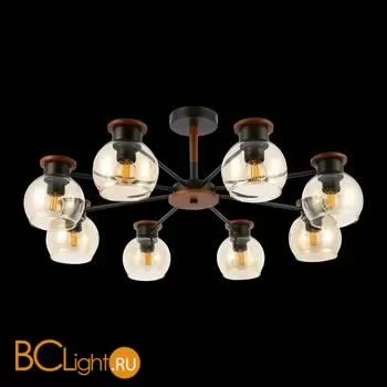 Люстра Evoluce Rasco SLE108102-08 - Фото 3