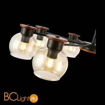 Люстра Evoluce Rasco SLE108102-08 - Фото 4