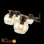 Люстра Evoluce Rasco SLE108102-08 - Фото 4