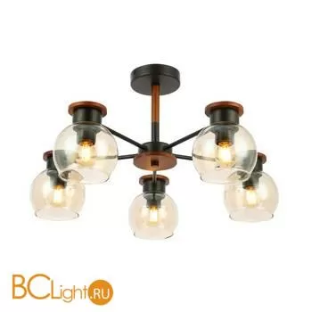 Люстра Evoluce Rasco SLE108102-05