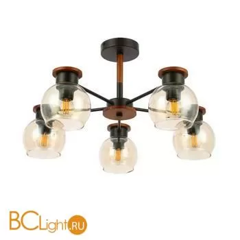 Люстра Evoluce Rasco SLE108102-05 - Фото 0