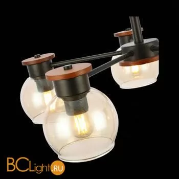 Люстра Evoluce Rasco SLE108102-05 - Фото 4