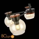 Люстра Evoluce Rasco SLE108102-05 - Фото 4