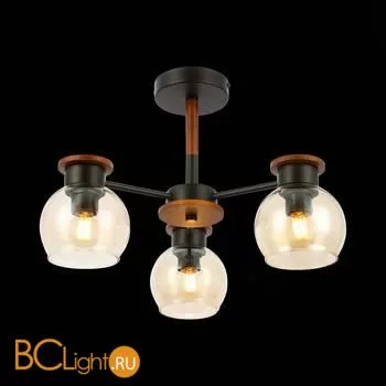 Люстра Evoluce Rasco SLE108102-03 - Фото 2