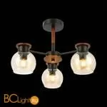 Люстра Evoluce Rasco SLE108102-03 - Фото 2