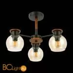 Люстра Evoluce Rasco SLE108102-03 - Фото 3