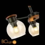 Люстра Evoluce Rasco SLE108102-03 - Фото 4