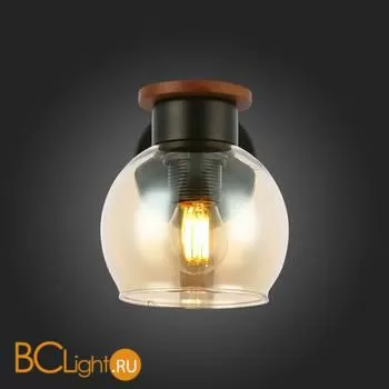 Бра Evoluce Rasco SLE108101-01 - Фото 10