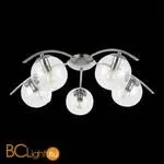 Люстра Evoluce Ratella SLE102602-05 - Фото 3