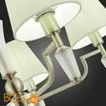 Люстра Evoluce Reimo SLE105503-05 - Фото 10