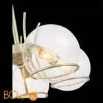 Люстра Evoluce Rescheza SL1136.203.05 - Фото 4