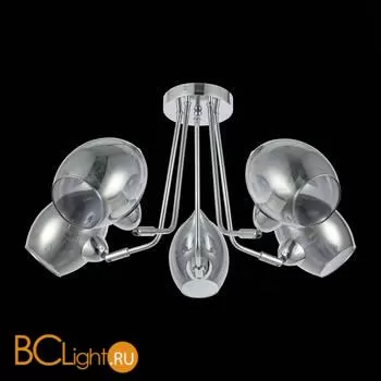 Люстра Evoluce Rinno SLE102402-05