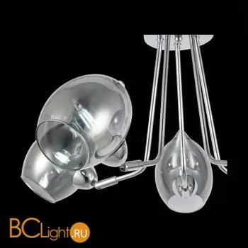 Люстра Evoluce Rinno SLE102402-05 - Фото 4