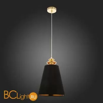 Подвесной светильник Evoluce Rionfo SL1137.203.01