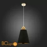 Подвесной светильник Evoluce Rionfo SL1137.203.01