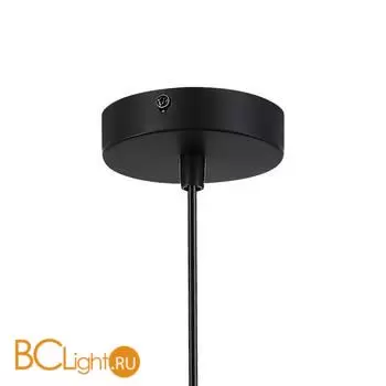 Подвесной светильник Evoluce RIZZ SLE1257-443-01 - Фото 3