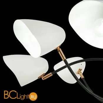 Люстра Evoluce Satta SLE103602-08 - Фото 4