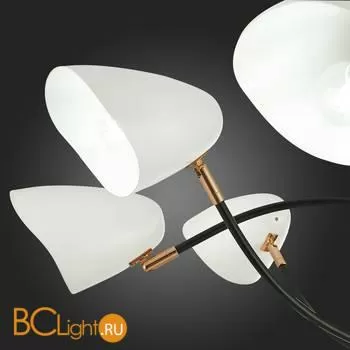 Люстра Evoluce Satta SLE103602-08 - Фото 7