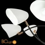 Люстра Evoluce Satta SLE103602-08 - Фото 4