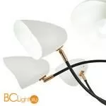 Люстра Evoluce Satta SLE103602-08 - Фото 1