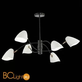 Люстра Evoluce Satta SLE103602-06 - Фото 1