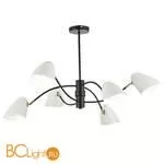 Люстра Evoluce Satta SLE103602-06