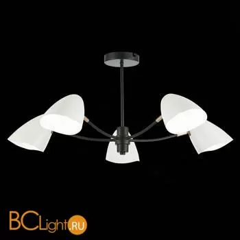 Люстра Evoluce Satta SLE103602-05 - Фото 3