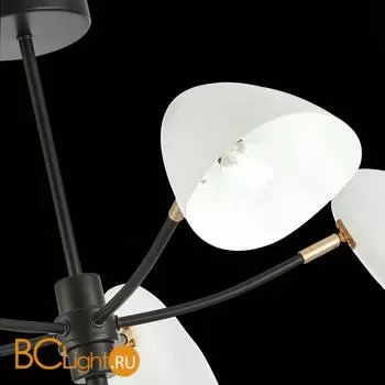 Люстра Evoluce Satta SLE103602-05 - Фото 5