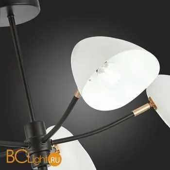 Люстра Evoluce Satta SLE103602-05 - Фото 9