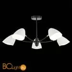 Люстра Evoluce Satta SLE103602-05 - Фото 3