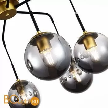 Люстра Evoluce Scorze SLE1097-302-06 - Фото 1