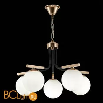 Люстра Evoluce Sonco SLE106803-05