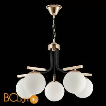 Люстра Evoluce Sonco SLE106803-05 - Фото 4