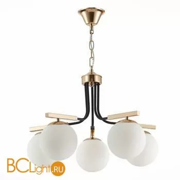 Люстра Evoluce Sonco SLE106803-05 - Фото 1