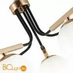 Люстра Evoluce Sonco SLE106803-05 - Фото 2