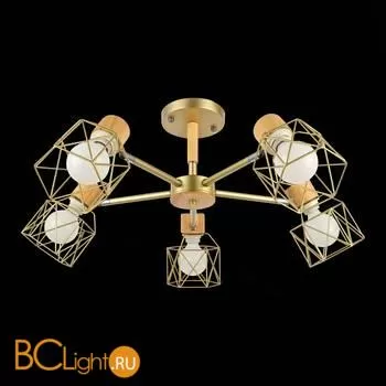 Люстра Evoluce Stelitto SLE110402-05 - Фото 8