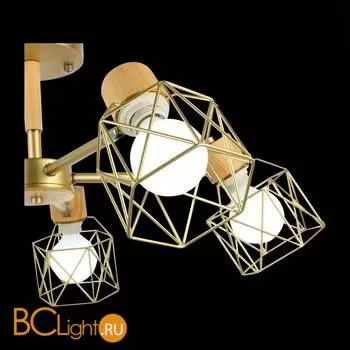 Люстра Evoluce Stelitto SLE110402-05 - Фото 9