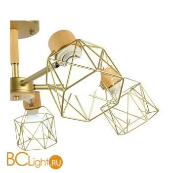 Люстра Evoluce Stelitto SLE110402-05 - Фото 4