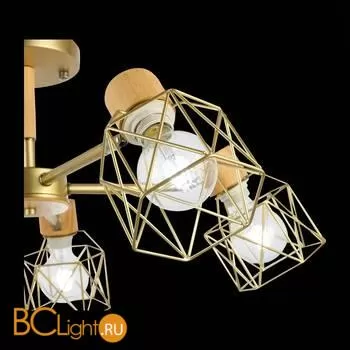 Люстра Evoluce Stelitto SLE110402-05 - Фото 10