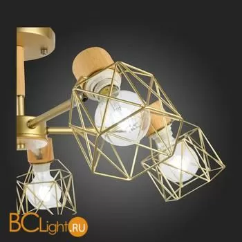 Люстра Evoluce Stelitto SLE110402-05 - Фото 16