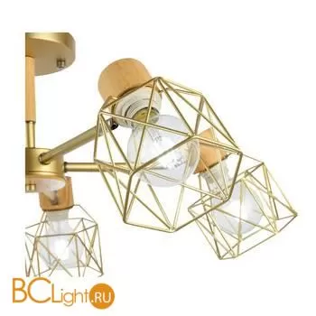 Люстра Evoluce Stelitto SLE110402-05 - Фото 5