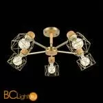 Люстра Evoluce Stelitto SLE110402-05