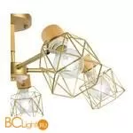 Люстра Evoluce Stelitto SLE110402-05 - Фото 5