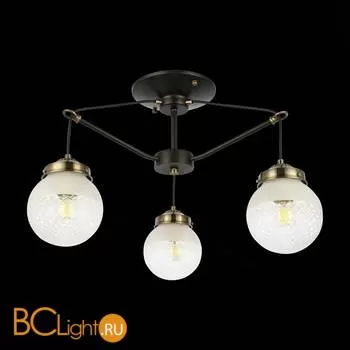 Люстра Evoluce Stricce SLE110302-03 - Фото 3