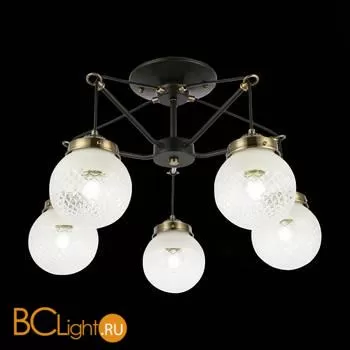 Люстра Evoluce Stricce SLE110302-05 - Фото 2