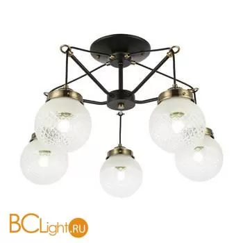 Люстра Evoluce Stricce SLE110302-05