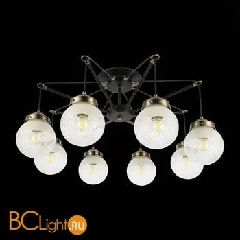 Люстра Evoluce Stricce SLE110302-08 - Фото 4