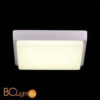 Потолочный светильник Evoluce Taddio SLE200212-01 - Фото 4